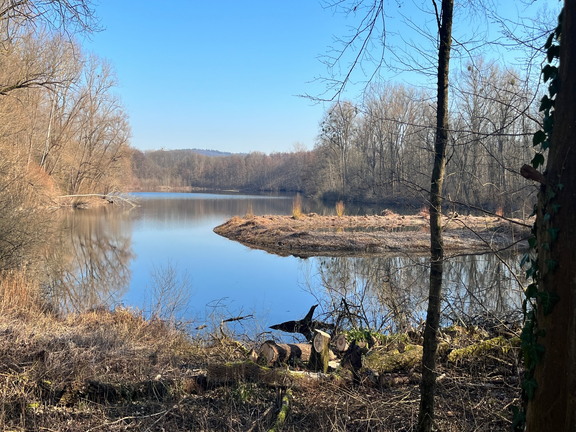 23-02-13 14-33-36 4228